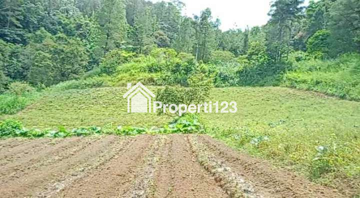 TANAH VILLA BERASTAGI DIJUAL 14.236M² SHM (O8IZ643O4I89) - 2