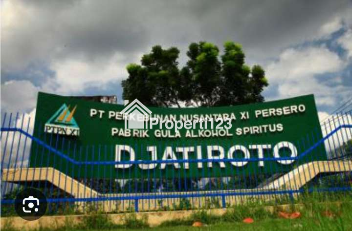 Dijual Rumah Lokasi Bagus Belakang RSUD Jatiroto Luas 339m cuma 775jt - 7