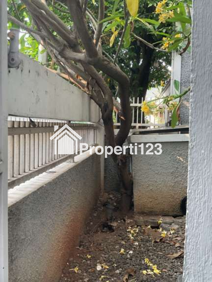 Rumah Siap Huni Jalan Cempaka Putih Timur Jakarta Pusat - 13