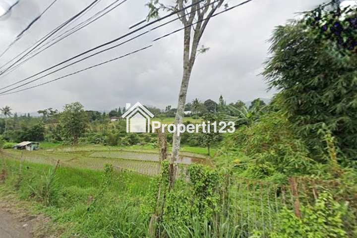 Tanah Dekat Taman Bunga Nusantara Kawungluwuk Puncak Cianjur - 5