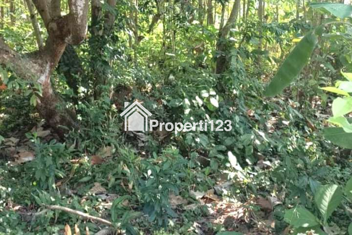 Tanah Strategis Desa Tebel Kecamatan Bareng Jombang Jawa Timur - 4
