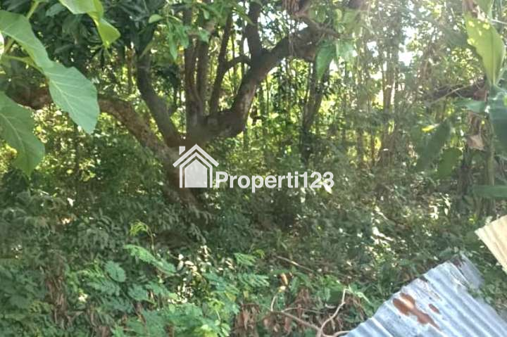 Tanah Strategis Desa Tebel Kecamatan Bareng Jombang Jawa Timur - 3