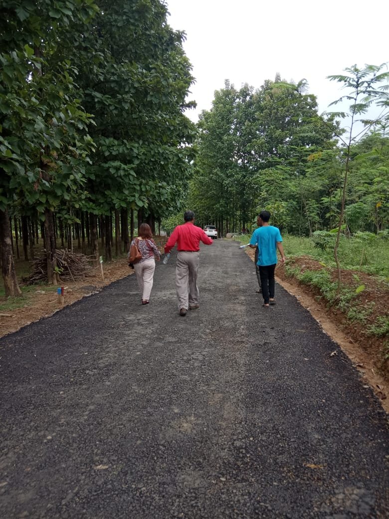 Dijual Tanah Murah Strategis Kavling Djati Indah Transyogi Pasir Tanjung Bogor - 4