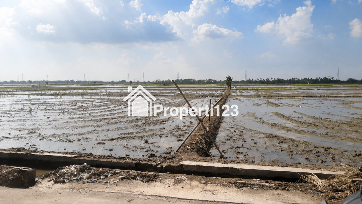 Dijual Sawah Pinggir Jalan di Sukatani Kabupaten Bekasi - 2