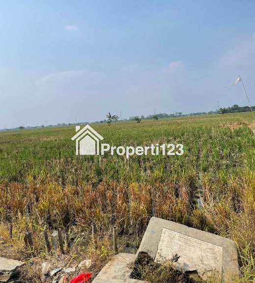 Dijual Sawah Pinggir Jalan di Sukatani Kabupaten Bekasi - 1