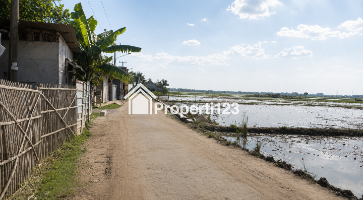 Dijual Sawah Pinggir Jalan di Sukatani Kabupaten Bekasi - 3