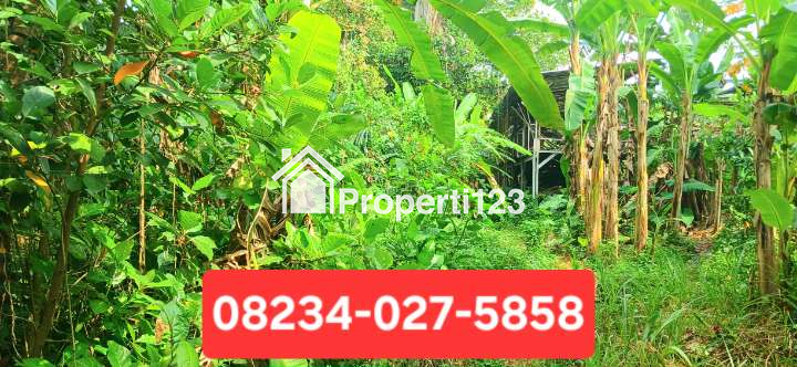 Over kontrak tanah di Kemenuh Gianyar Bali Dkt Ubud - 1
