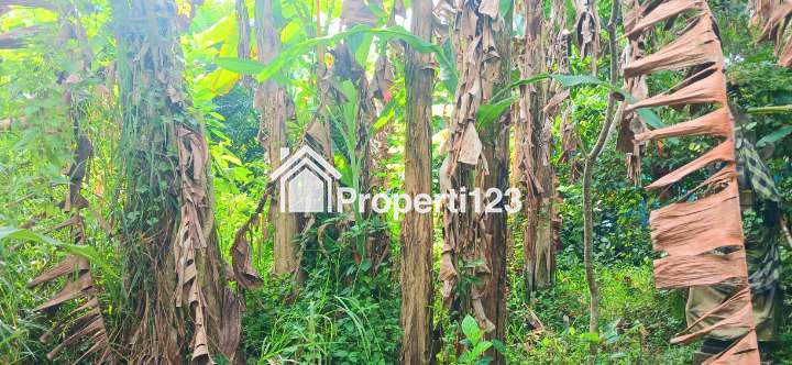 Over kontrak tanah di Kemenuh Gianyar Bali Dkt Ubud - 2