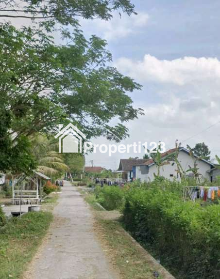 Dijual Tanah Kavling Di Klatakan Tanggul Jember Jawa Timur - 3