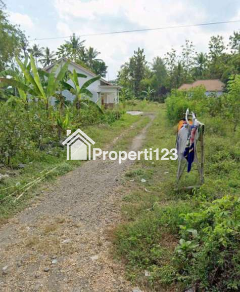 Dijual Tanah Kavling Di Klatakan Tanggul Jember Jawa Timur - 2