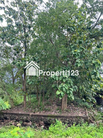 DIJUAL TANAH STRATEGIS PERUMAHAN BPD III SEMARANG TIMUR - 1