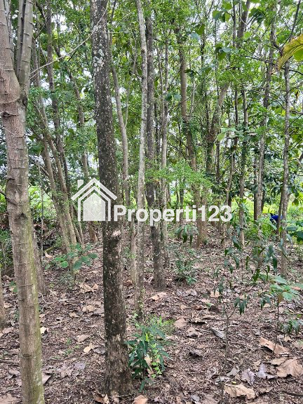DIJUAL TANAH STRATEGIS PERUMAHAN BPD III SEMARANG TIMUR - 2