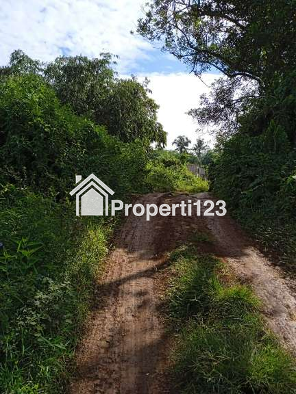 Dijual Tanah Murah di Jl. Raya Jonggol - Dayeuh, Bogor - 8