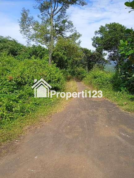 Dijual Tanah Murah di Jl. Raya Jonggol - Dayeuh, Bogor - 5