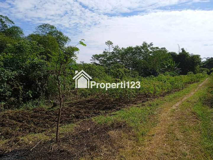 Dijual Tanah Murah di Jl. Raya Jonggol - Dayeuh, Bogor - 9