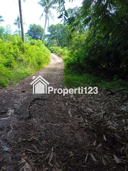 Dijual Tanah Murah di Jl. Raya Jonggol - Dayeuh, Bogor - 7