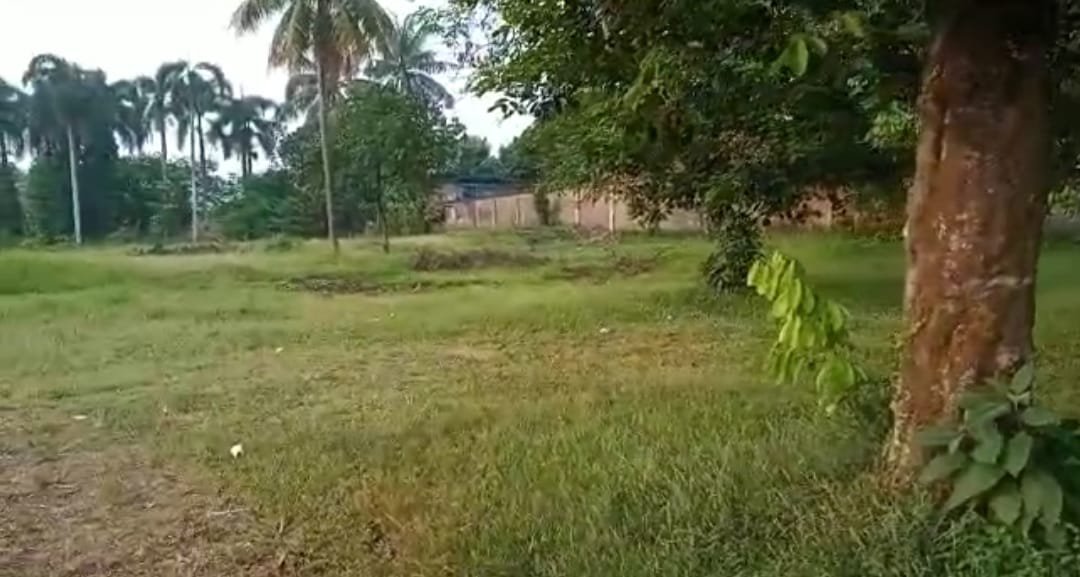 Dijual Murah Tanah Strategis di Jl. Raya Cileungsi 51, Kab. Bogor - 1