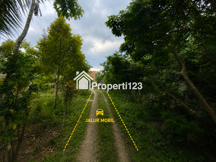 Dijual Rumah Paviliun + Tanah Luas 68 Ubin SHM di Patikraja, Banyumas - 7