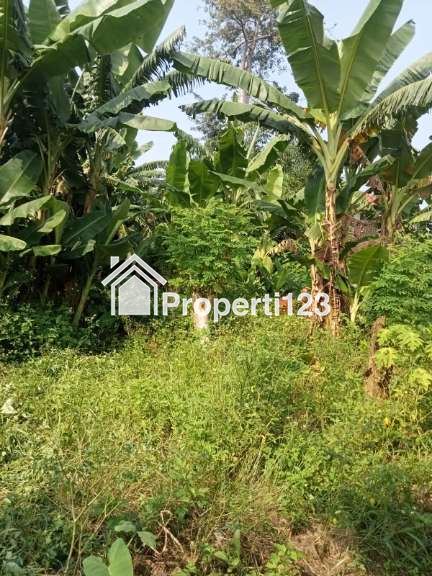 Dijual Rumah berikut tanah yang luas di Jl Kenanga V Kel Genuk, Ungaran - 6