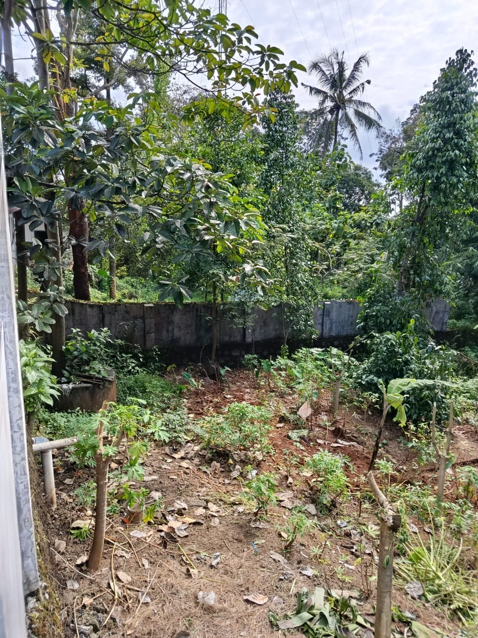 Rumah Second Mewah Dijual Dibawah Harga Pasar - 14
