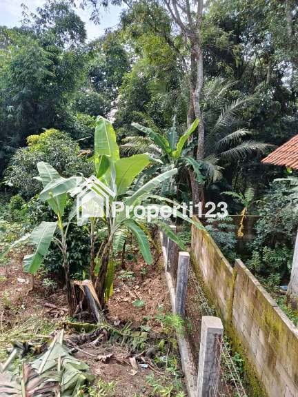 Rumah Second Mewah Dijual Dibawah Harga Pasar - 13