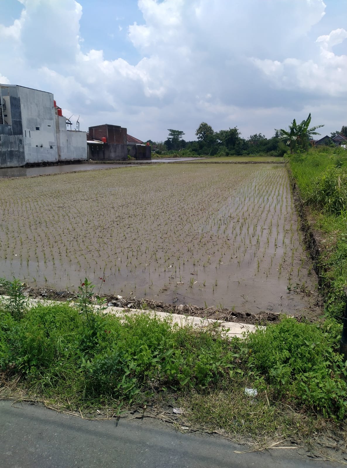 Tanah Stategis Pinggir Jalan Raya Alternatif Klaten - Boyolali - 4