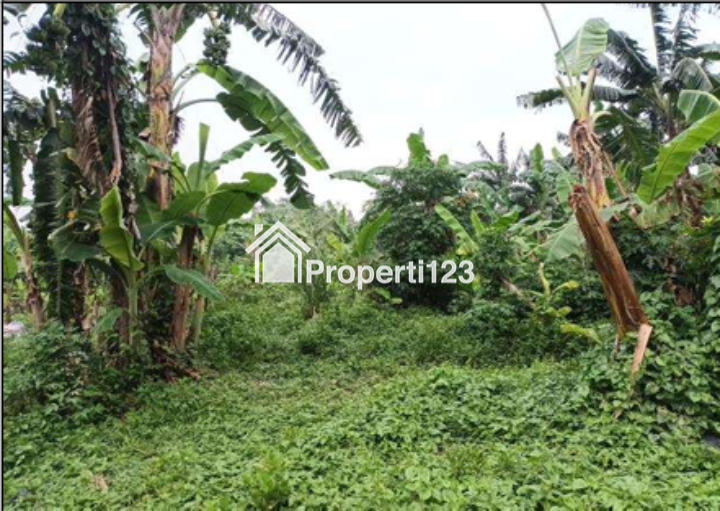 Lahan di Kawasan Industri Citeureup, Bogor Cocok untuk Gudang & Pabrik - 1