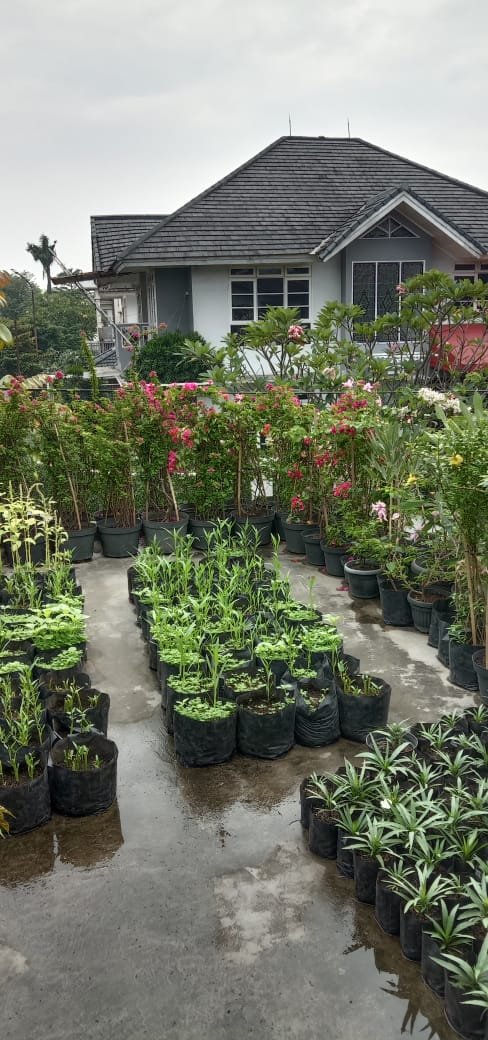 Rumah di Villa Delima Fullfurnished, lengkap, rapi, apik, hommy, - 8