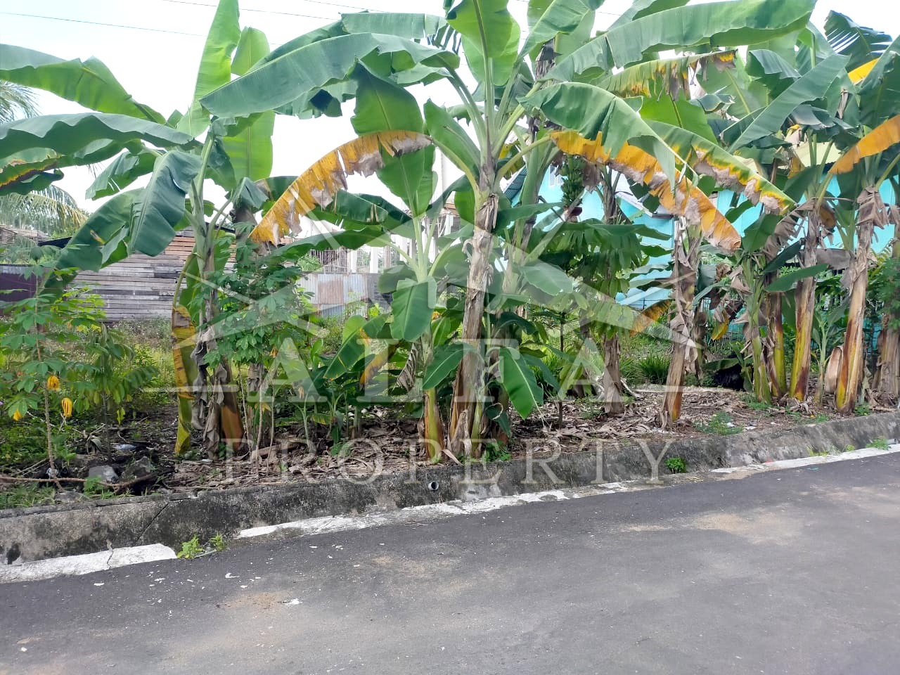 Tanah Karya Baru 7, Pontianak, Kalimantan Barat - 2