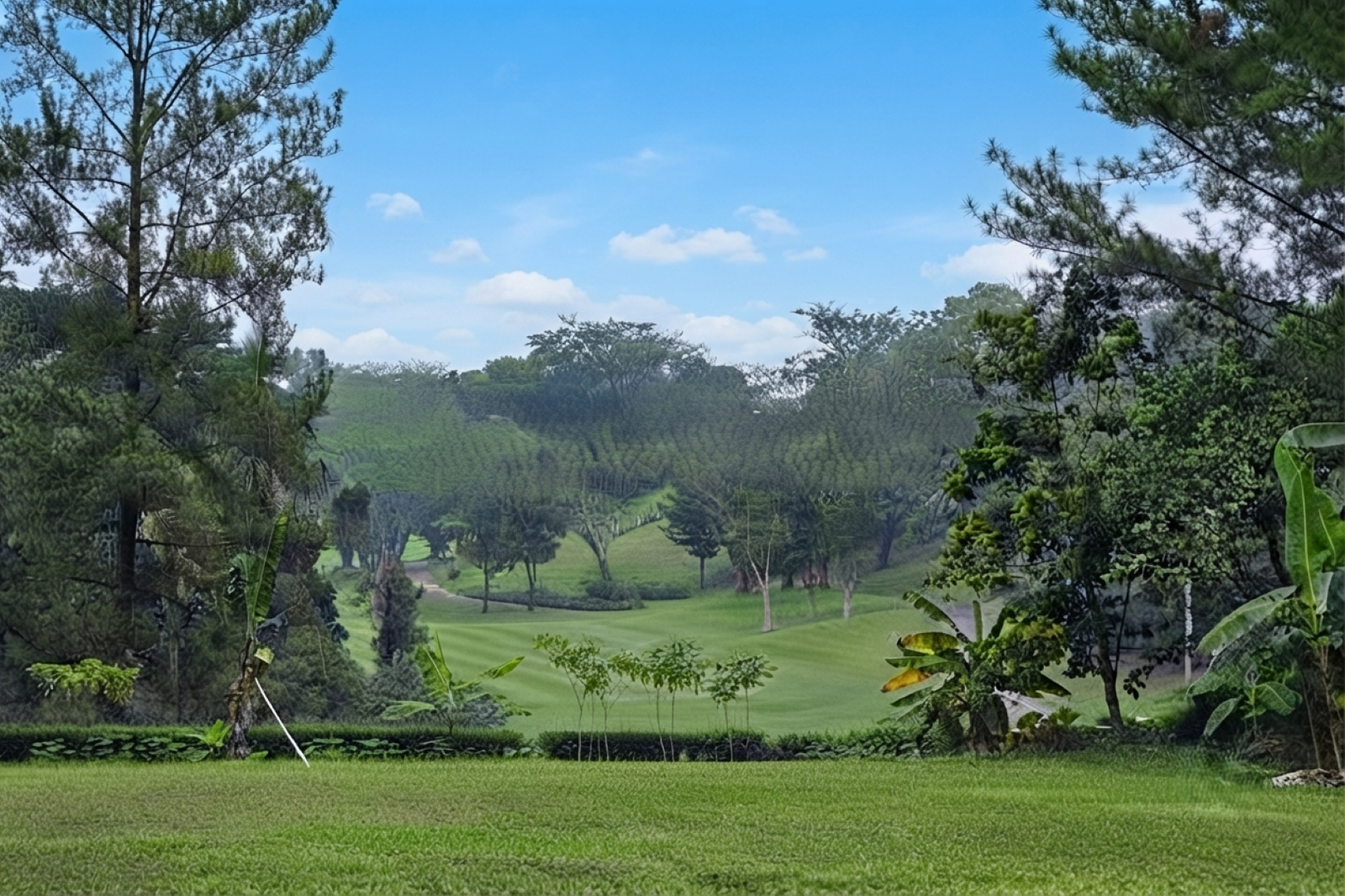 Tanah Kavling Nempel Lapangan Golf Rancamaya Golf Estate Bogor - 7