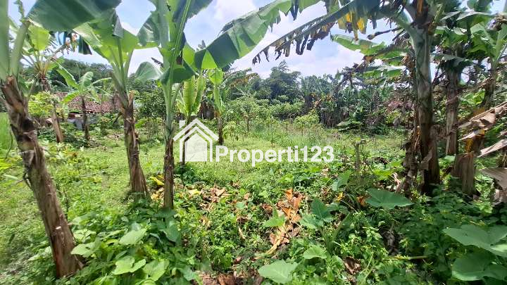 Di Jual Villa Dekat Area Wisata - 10