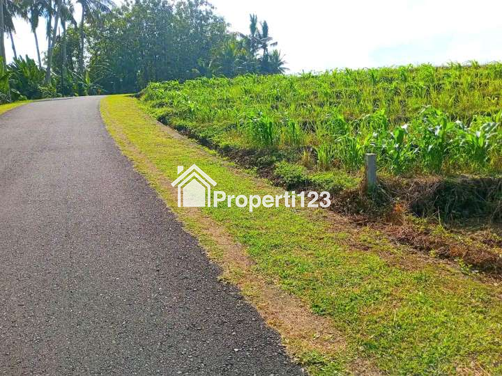 Disewakan Tanah Selemadeg Timur Dkt Pantai Kelecung Tabanan Bali - 2