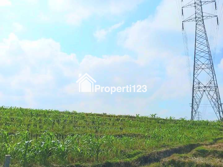 Disewakan Tanah Selemadeg Timur Dkt Pantai Kelecung Tabanan Bali - 3