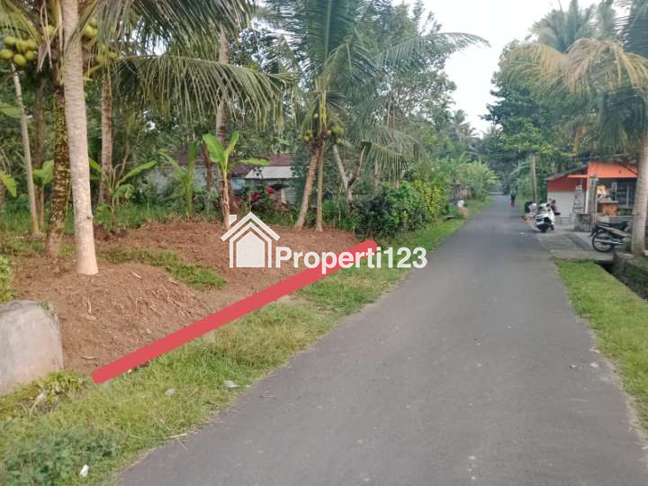 Disewakan Tanah 43 Are Di Mengwi Badung Bali - 3
