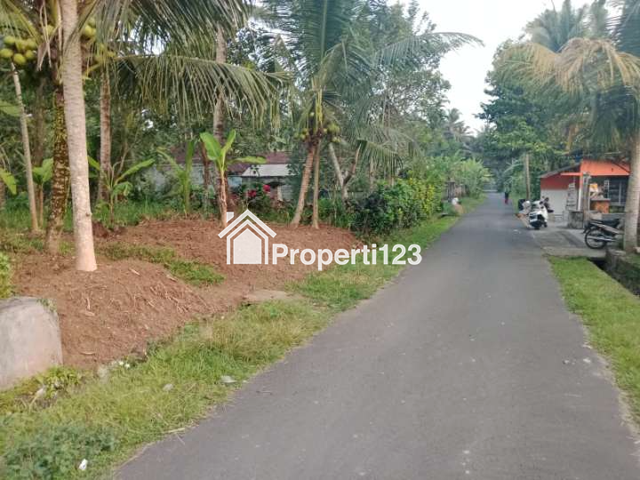 Disewakan Tanah 43 Are Di Mengwi Badung Bali - 1