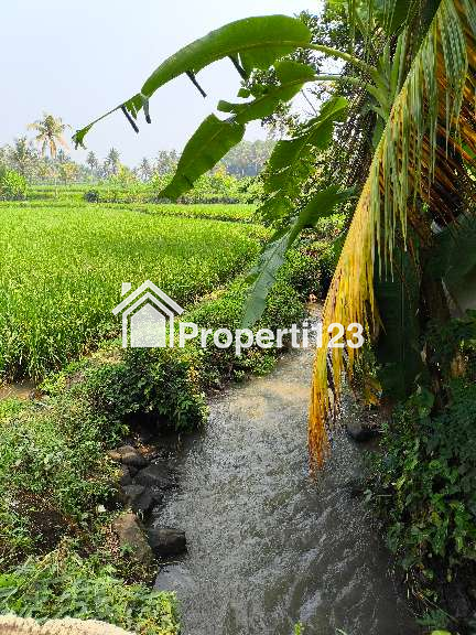 Dijual Sawah Produktif 3.218 m² (SHM) di Cianjur – Lokasi Strategis, Akses mobil, cocok untuk gudang dll - 3
