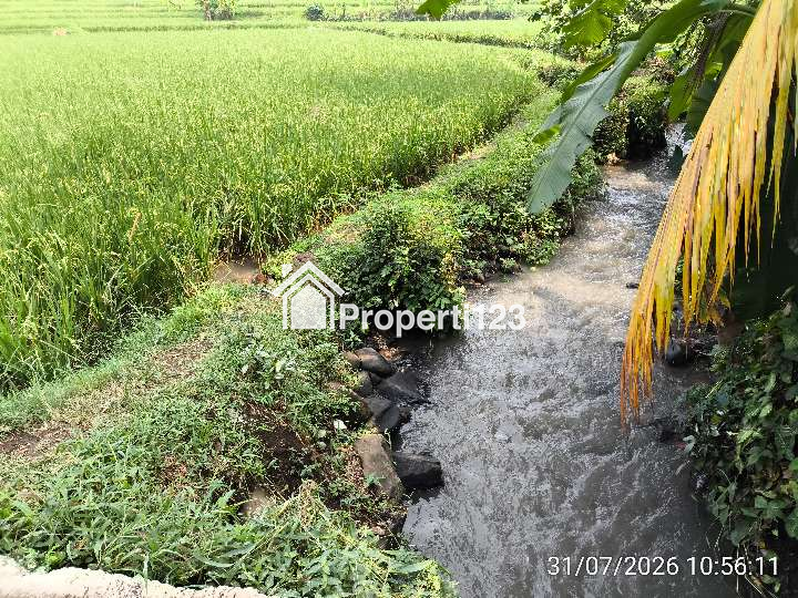 Dijual Sawah Produktif 3.218 m² (SHM) di Cianjur – Lokasi Strategis, Akses mobil, cocok untuk gudang dll - 4