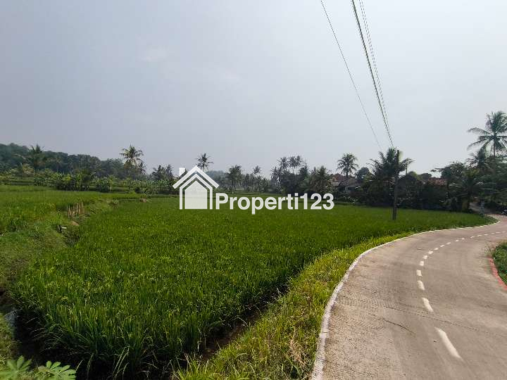 Dijual Sawah Produktif 3.218 m² (SHM) di Cianjur – Lokasi Strategis, Akses mobil, cocok untuk gudang dll - 2