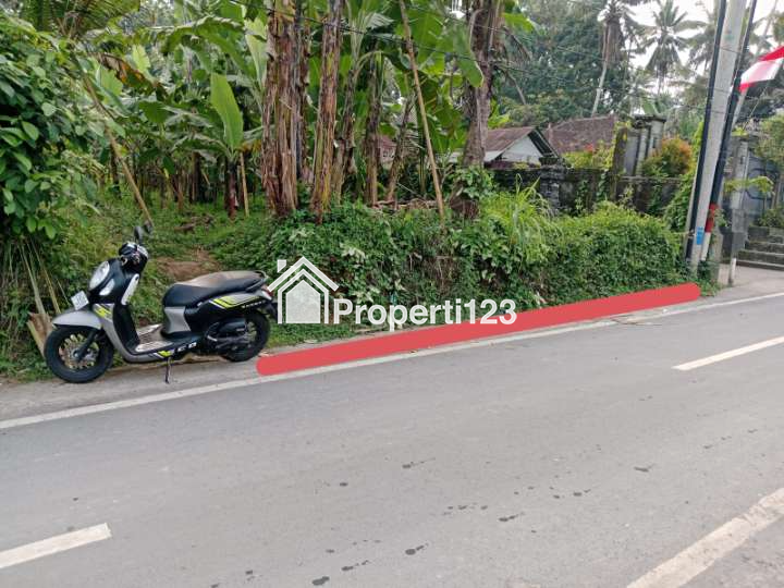 Disewakan Tanah Zona Industri Di Mengwi Badung Bali - 2