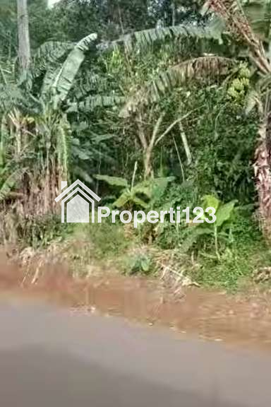 DIJUAL LAHAN KEBON 1.2 HA, CIGUDEG, KAB. BOGOR - 2