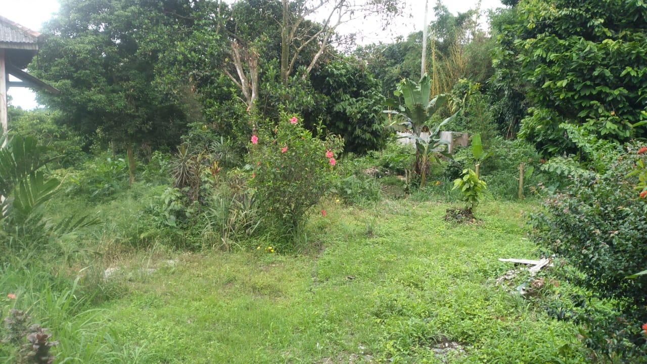 Dijual Tanah Dekat Tempat Wisata Curug Nangka dan Highland Park- Bogor - 9