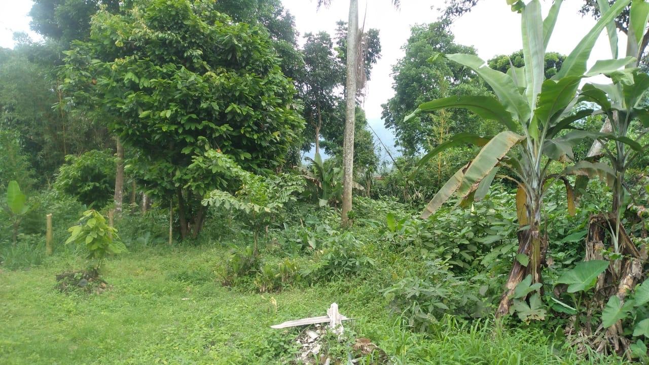 Dijual Tanah Dekat Tempat Wisata Curug Nangka dan Highland Park- Bogor - 11