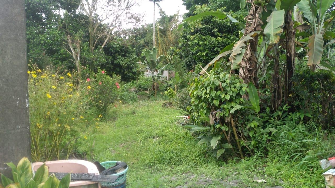 Dijual Tanah Dekat Tempat Wisata Curug Nangka dan Highland Park- Bogor - 10