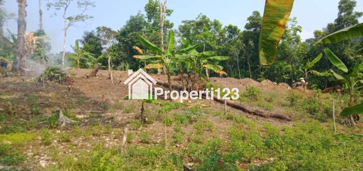 Kebun Buah2an di Leuwidamar - 7