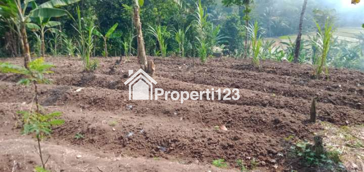 Kebun Buah2an di Leuwidamar - 6