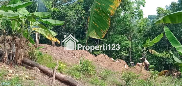 Kebun Buah2an di Leuwidamar - 8