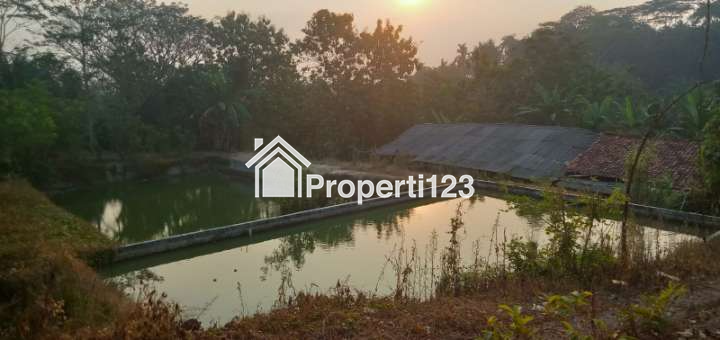 Rumah, Kebun, dan Kolam Ikan di Rangkasbitung - 2