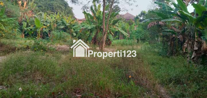 Rumah, Kebun, dan Kolam Ikan di Rangkasbitung - 5
