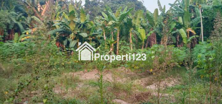 Rumah, Kebun, dan Kolam Ikan di Rangkasbitung - 3