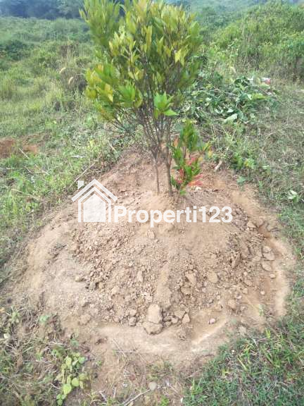 Tanah Kavling SHM 320 m² Dekat Graha Ariyana – Rp650 Ribu/m² - 3